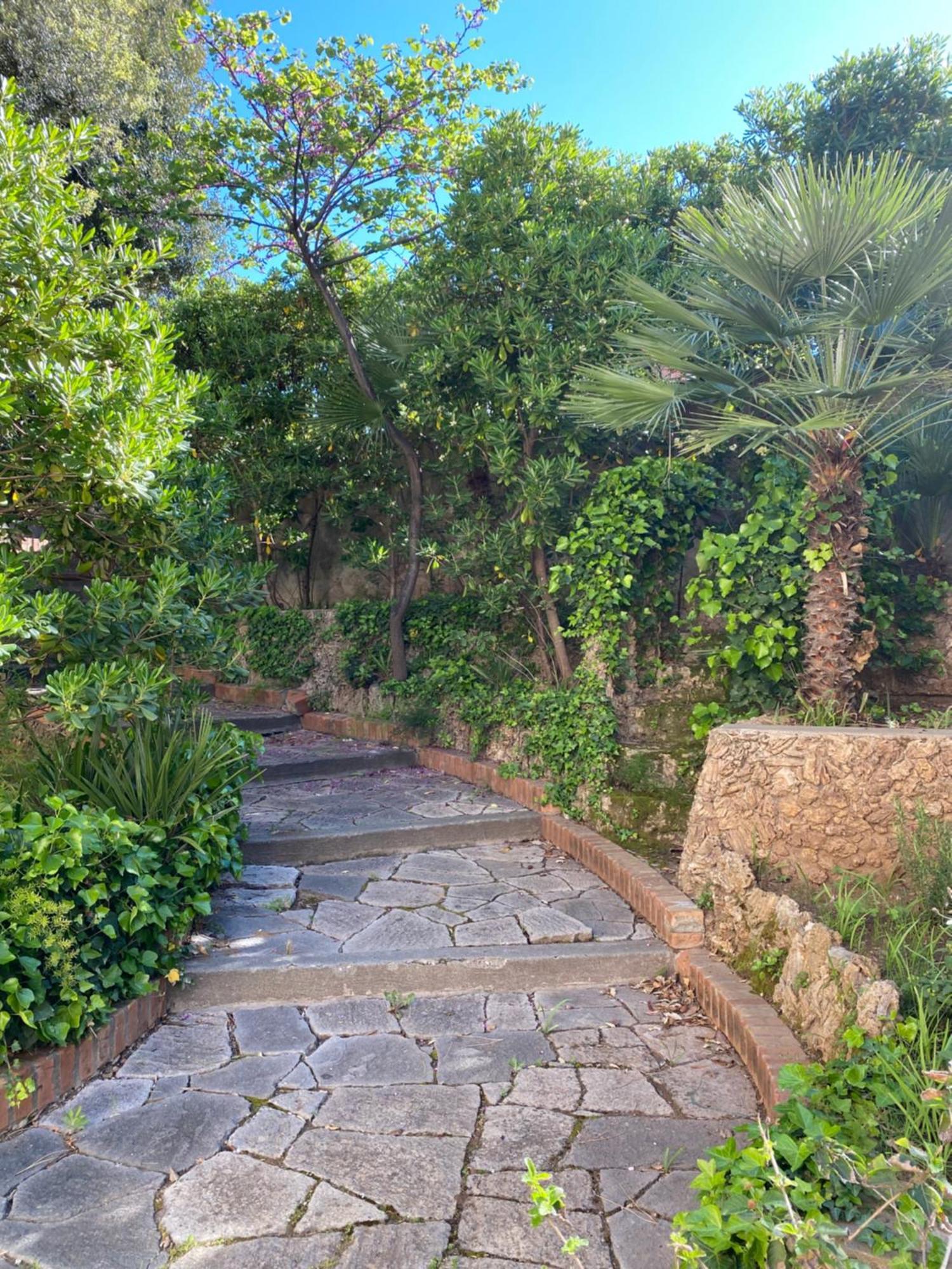 Villa Il Boschetto San Vincenzo Exteriér fotografie
