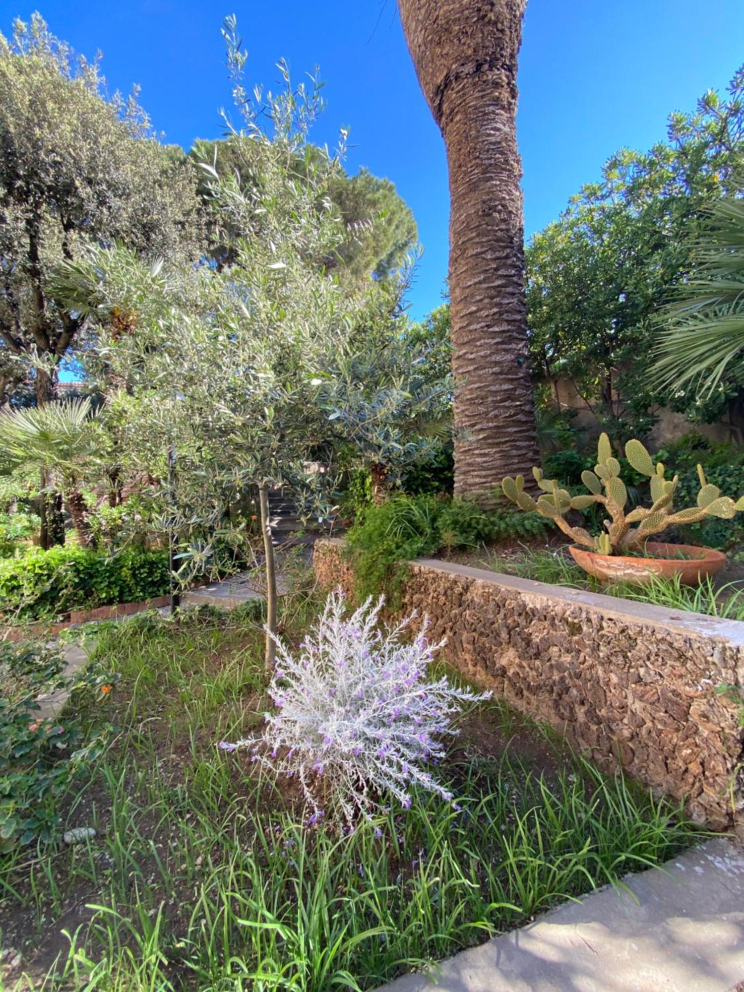 Villa Il Boschetto San Vincenzo Exteriér fotografie